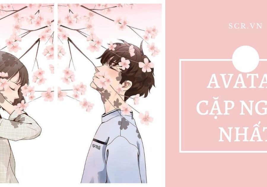 65+ Avatar Vô Tri Cute Hài Hước Nhất Cho Nam Nữ (2024)